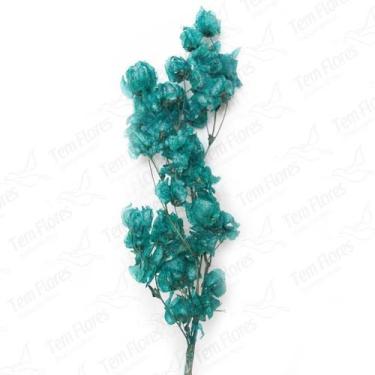 Imagem de Bougainvile Desidratado Buque Flores Secas - Pense Flores, Verde