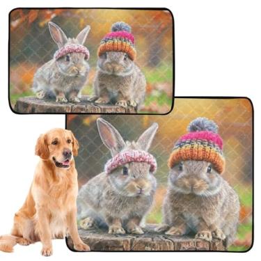 Imagem de TSENQUE Almofada reutilizável para xixi adorável coelhinho para gatos, lavável para animais de estimação, tapete de urina fofo para cães, impermeável, absorvente para filhotes, pequeno x pacote com 3