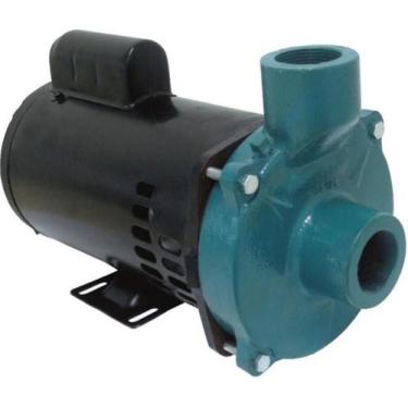Imagem de Motobomba Standard 2cv 60Hz 127/220V ECS-SA200M Eletroplas