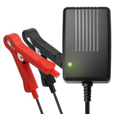 Imagem de Hicrank Carregador de bateria de 14,6 V, 2 A para bateria de motocicleta LiFePO4 de 12 V, com conector de clipes jacaré duplos