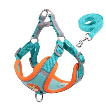 Imagem de Peitoral Ajustável para Cachorro com Guia, Conjunto Colete e Coleira em Azul Turquesa e Laranja, para Cães Pequenos e Médios