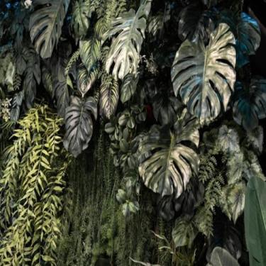 Imagem de Quadro Decorativo Jardim Vertical Estilo Moderno para Parede Sala Quarto Escritório 50x50cm