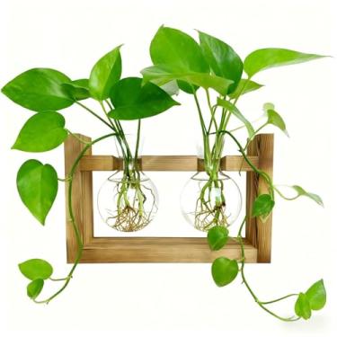 Imagem de Vaso hidropônico de vidro com moldura de madeira - Recipiente criativo para plantas verdes para escritório, decoração de casa e presente, suporte de bambu natural, estação de propagação de água - 2