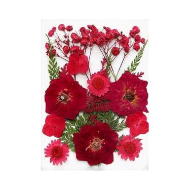 Imagem de Flores Naturais Prensadas E Secas Para Resina Epóxi, Arte Em Unhas DIY