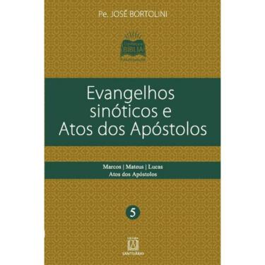 Imagem de Evangelhos Sinoticos E Atos Dos Apostolos