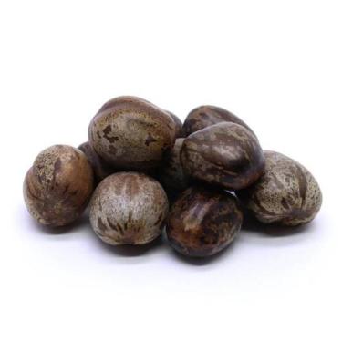Imagem de Fava de omolu - CASA FÉ