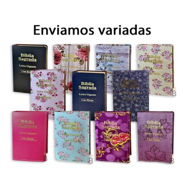 Imagem de Kit 10 Bíblias Sagrada Letra Gigante - Luxo Variadas - c/ Harpa Cristã