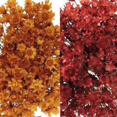Imagem de 2 Sempre Vivas Florzinha Lembrancinha Desidratadas Seca - Pense Flores