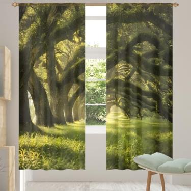 Imagem de 2 conjuntos de painéis de cortinas transparentes realistas de árvores florestais com luz solar, cortinas transparentes arejadas com filtro leve, painéis de cortina de porta e janela para sala de estar