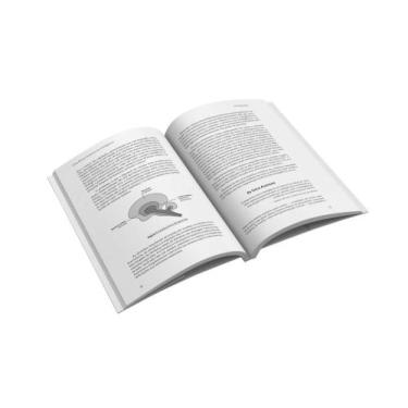 Imagem de Uma breve história da inteligência: evolução, ia e os cinco avanços qu