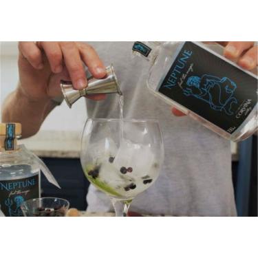 Imagem de neptune london dry gin 700ml garrafa