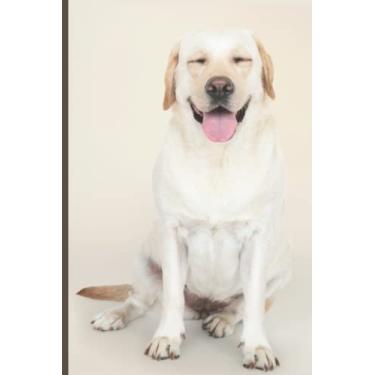 Imagem de Labrador Journal Dog Brown Journal Notebook Libreta - Glossy-finish cover: Simple Soft Cover Lined 100 Page Writing Notebook Diary Libreta Lined | Workbook for Woman Men Girls Boys Kids Teens Students