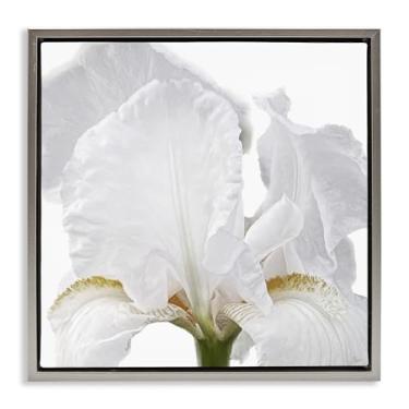 Imagem de Stupell Industries White Iris Close Up Gray Framed Floater Canvas Wall Art Design by Nan, 18 x 18