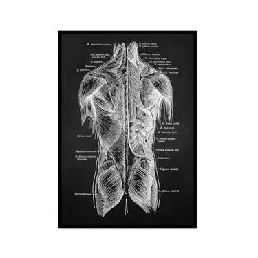 Imagem de Fundo preto anatomia humana arte médica impressões em tela imagens esqueleto músculo pôster vintage educação pintura arte decoração de parede (SKU2,8x30,5 cm = (20 x 30 cm), moldura preta)