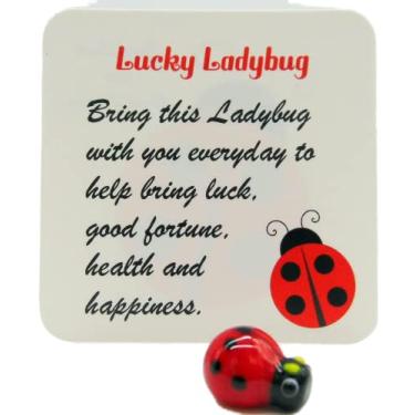 Imagem de Lucky Ladybug Legend Pocket Charm Set Little Good Luck Glass Token com cartão de história, One Size, Metal, Sem Pedra Preciosa