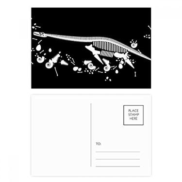 Imagem de Dinosaur Bone Bones Conjunto de cartão postal pequeno de aniversário para enviar cartões de agradecimento