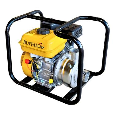 Imagem de Motobomba Combustão Buffalo 4t Bfg 2 Inox 7.0 Cv