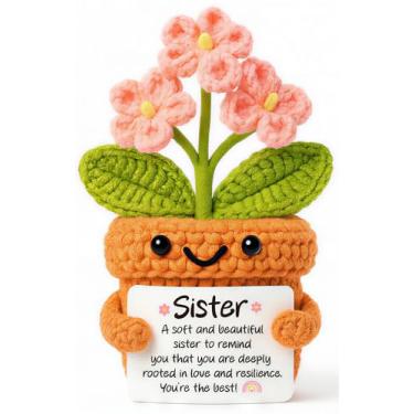 Imagem de Canmuchful Presente de irmã de irmã irmão – linda estatueta de flor de crochê, presente artesanal de apoio emocional, presente de incentivo positivo para aniversário, Natal, decoração de mesa