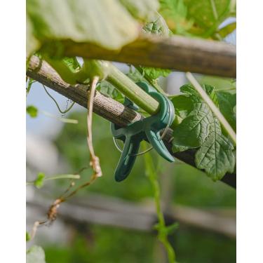 Imagem de Clipes fixos reutilizáveis para plantas verdes - Proteja suas plantas com ganchos de plástico durável para jardim e estufa, ideais para pátio e gramado, fixação de plantas ao ar livre | Ganchos de