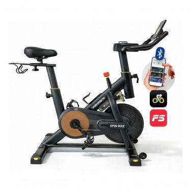Imagem de Bicicleta Spinning Winnek WNNK2151 Resistência Magnética Volante 13KG Capacidade 150kg Uso Doméstico