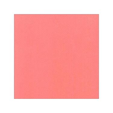 Imagem de Bazzill Cdstk 12x12 Reef de coral suíço pontilhado