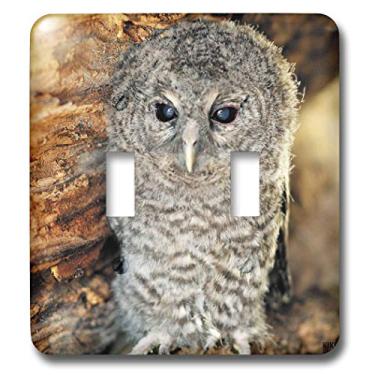 Imagem de 3dRose LLC lsp_9903_2 Tawny Owl Strix Aluco Um mês Young Owl Aragon Espanha Interruptor duplo