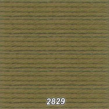 Imagem de Linha DMC Cotton Retors Mat (Fosca) 10m, 2829