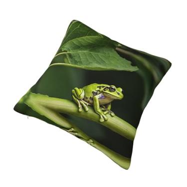 Imagem de Almofada quadrada decorativa com estampa de sapo da paz - Design reversível, zíper oculto, poliéster macio para sofá, cama e carro - Hipoalergênico 66 cm x 66 cm