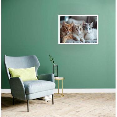 Imagem de Quadro Decorativo Trio Gatinhas - 50X70Cm
