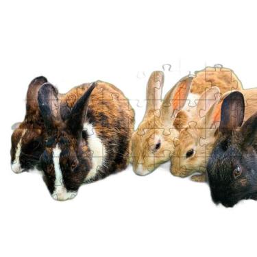 Imagem de Quebra-Cabeça Inclusivo 300 Peças Coelhos Que Encantam E - Coleção Tea