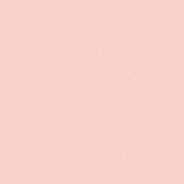 Imagem de Papel de Parede Vinílico Textura liso rosa revoada 4439 53x1000 - BOBI