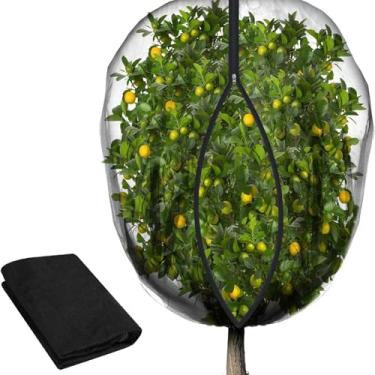 Imagem de Generic Rede para árvores frutíferas, rede para árvores de jardim, barreira, bolsa de proteção para frutas e arbustos de mirtilo, 3x3m