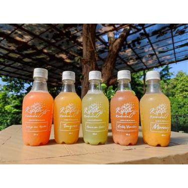 Imagem de Kombucha - Chá Fermentado Probiótico - Bebida Gaseificada Naturalmente