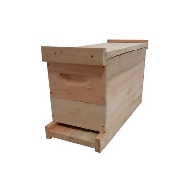 Imagem de Caixa Núcleo Isca Captura - Eucalipto C/ 5 Quadros