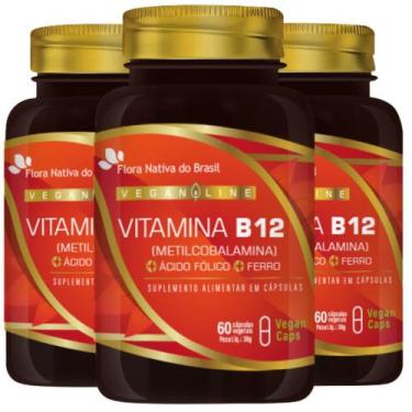 Imagem de KIT 3X Vitamina B12 + Ferro + Ácido Fólico 60 Vegan Caps - Flora Nativ