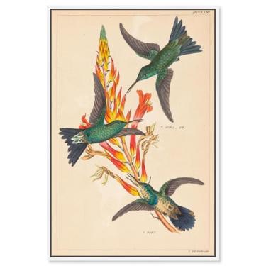 Imagem de Art Remedy Tela de impressões botânicas, 25,4 cm x 38,1 cm, moldura branca, três beija-flores com planta