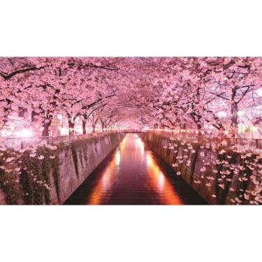 Imagem de Painel De Lona Paisagem Rosa Rio 3D - Fabrika de Festa, 240x130cm