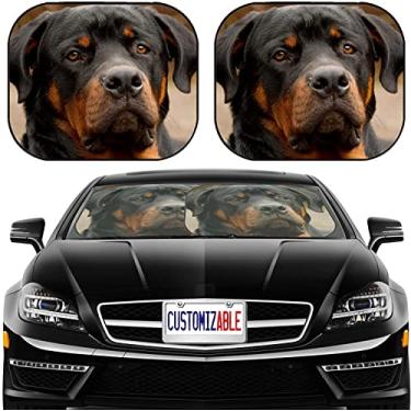 Imagem de MSD Para-sol de carro para-sol para-sol de ajuste universal pacote com 2, bloqueio de brilho do sol, UV e calor, protege o interior do carro, ID da imagem: 15039948 Retrato frontal de um Rottweiler de raça pura, foco estreito dof ..