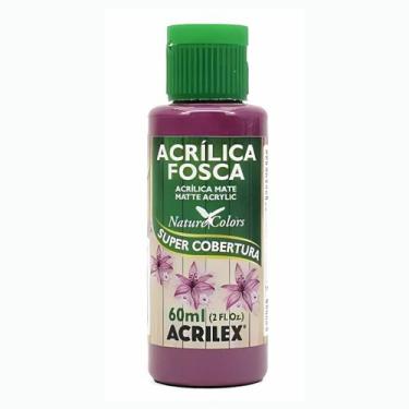 Imagem de Tinta acrilica fosca 60ml acrilex escolha a cor, 913 - AMEIXA