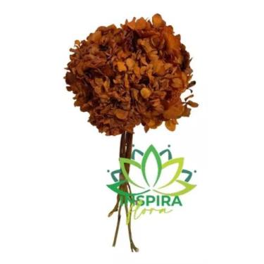 Imagem de Buquê Hortência Seca Laranja Desidratado Arranjo Floral Luxo - FLORA F