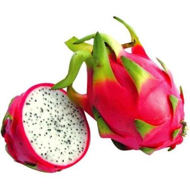 Imagem de Muda Pitaya Branca  -6 estacas - no-brand
