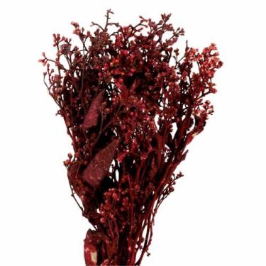 Imagem de Dedo De Anjo Vermelho Flor Desidratada Buque Flores Secas - Pense Flor