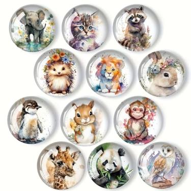 Imagem de Ímãs de geladeira seguros para arranhões (12 peças) com retenção confiável, imãs de geladeira de vidro decorativos multiuso para quadro branco, armário, escritório e cozinha, ideal para exibições de