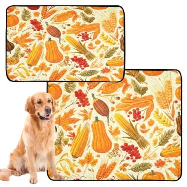 Imagem de CEBUGI Almofadas de xixi laváveis para cães, pacote com 2, almofadas impermeáveis para filhotes de cachorro, antiderrapante, à prova de vazamento, para cercadinho, cama, outono, colheita, frutas