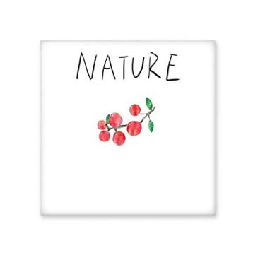 Imagem de Adesivo brilhante de azulejo de cerâmica com pintura de ilha de frutas vermelhas