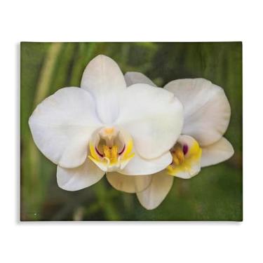 Imagem de Stupell Industries Arte de parede em tela brilhante com flor de orquídea, design por Seven Trees Design, 61 x 76 cm