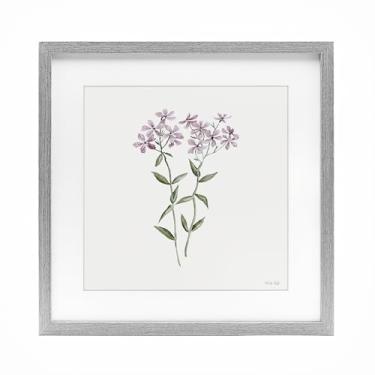Imagem de Stupell Industries Impressão emoldurada cinza botânico Phlox roxo sob vidro, design de Cindy Jacobs, 33 x 33