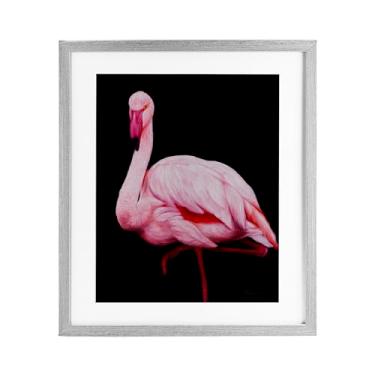 Imagem de Stupell Industries Impressão emoldurada de flamingo contrastante em bétula preta sob vidro, design de James Corwin, 16 x 13
