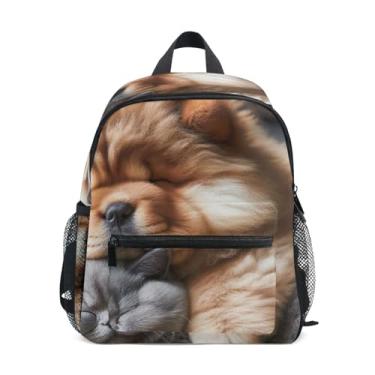 Imagem de GAIGEO Chow Chow Dog Funny Cat Backpacks for Toddlers with Whistle, 2 Bottle Pockets, Lightweight, Back to School Backpacks 10x4x12 In, for Ages 3-8