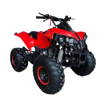 Imagem de Quadriciclo Gasolina 125CC 4T Partida Elétrica Automático com Ré 0Km Vermelho Importway Iwatvr-125